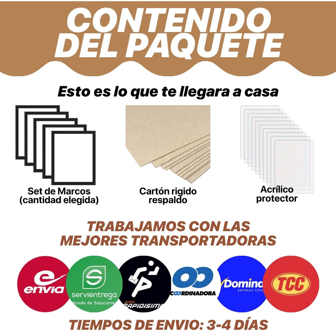 SET DE FOTOS